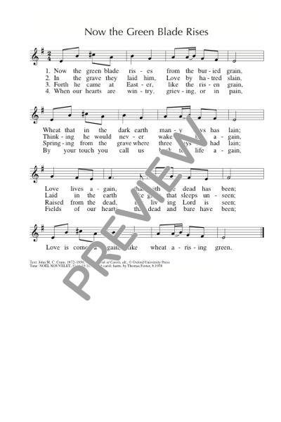 Score placeholder