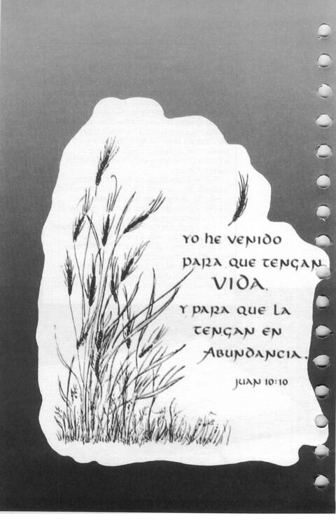 Celebremos Su Gloria page 269