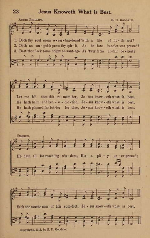Hymns Tried and True: is a collection of new and old hymns suitable for evangelistic meetings young people