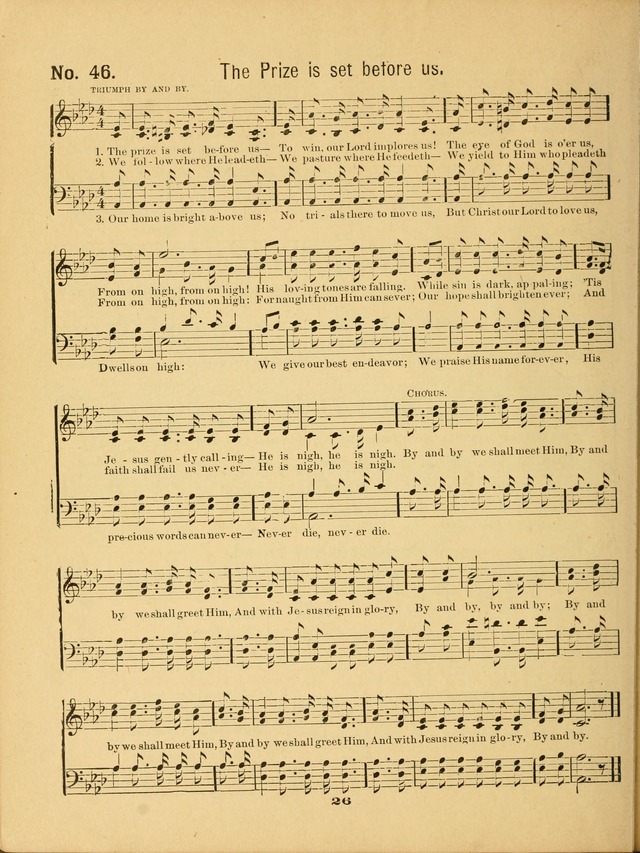 Palmer