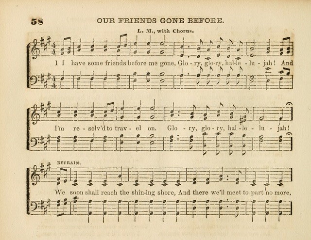 Pilgrim