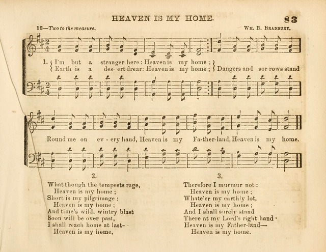 Pilgrim