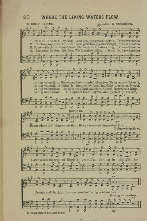 The Soul Winner: A Collection of Gospel Songs for Sunday Evening and Revival Services, Young People