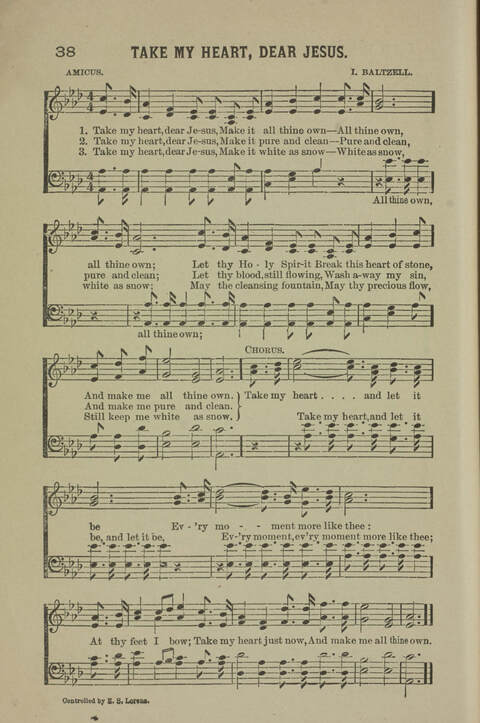 The Soul Winner: A Collection of Gospel Songs for Sunday Evening and Revival Services, Young People