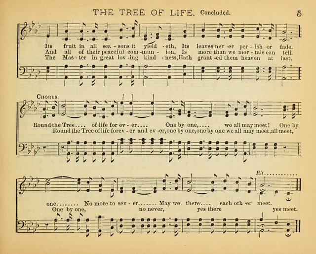 The Tree of Life: for Sunday Schools and Gospel Meetings page 5